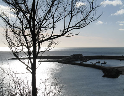 The Cobb, Lyme Regis